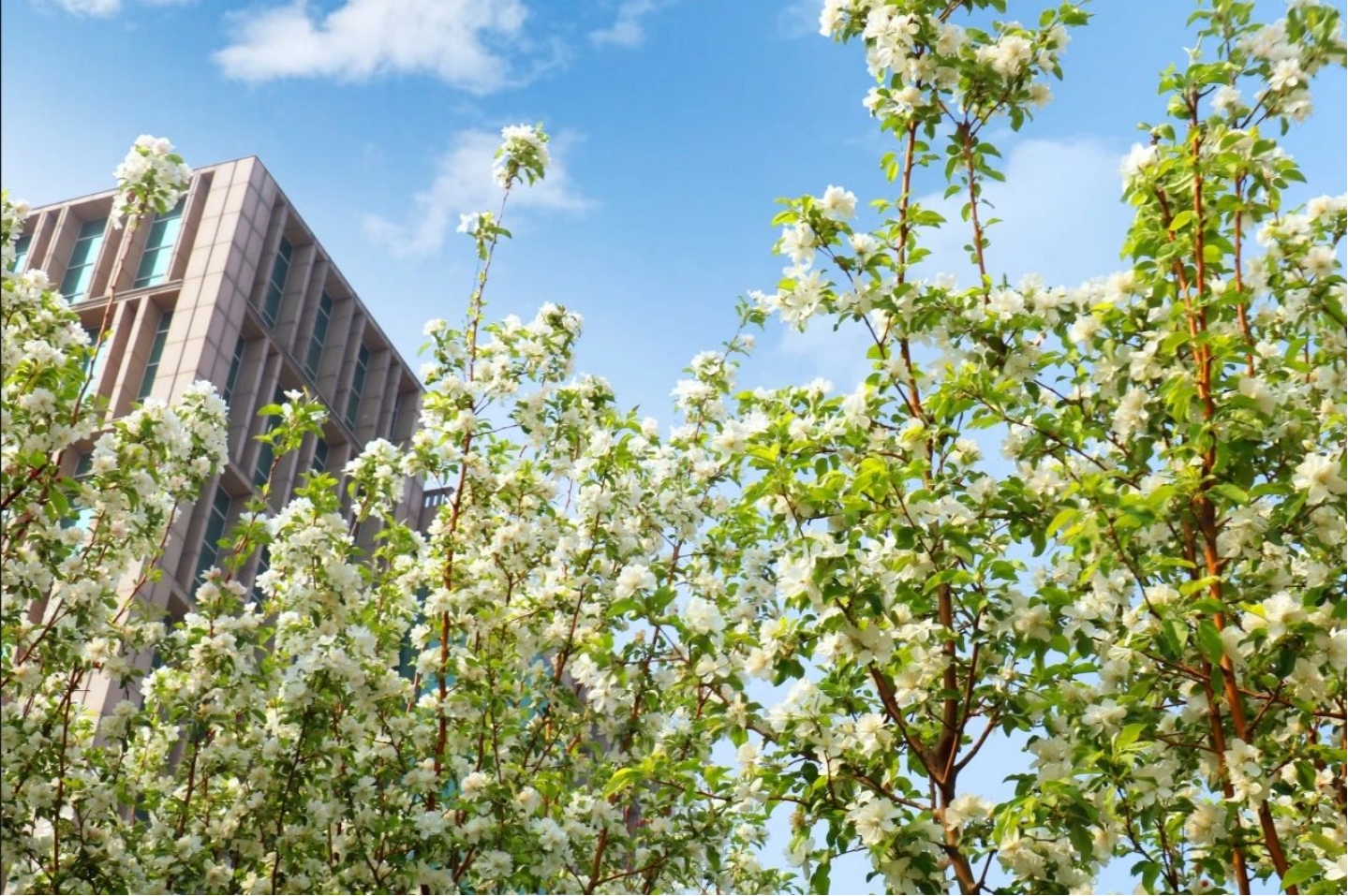 看，亚洲另类无码一区二区三区冫,青柠在线观看免费高清电视剧8,韩日美无码精品无码,国产高清999在线观看,,亚洲精品久久久一区,俄罗产粗猛黄爽的视频......“春色满园”！(图12)