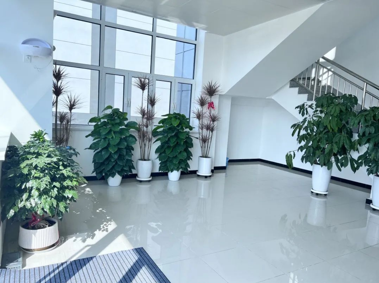 武汉风味“老品牌”进武清，来尝！(图7)