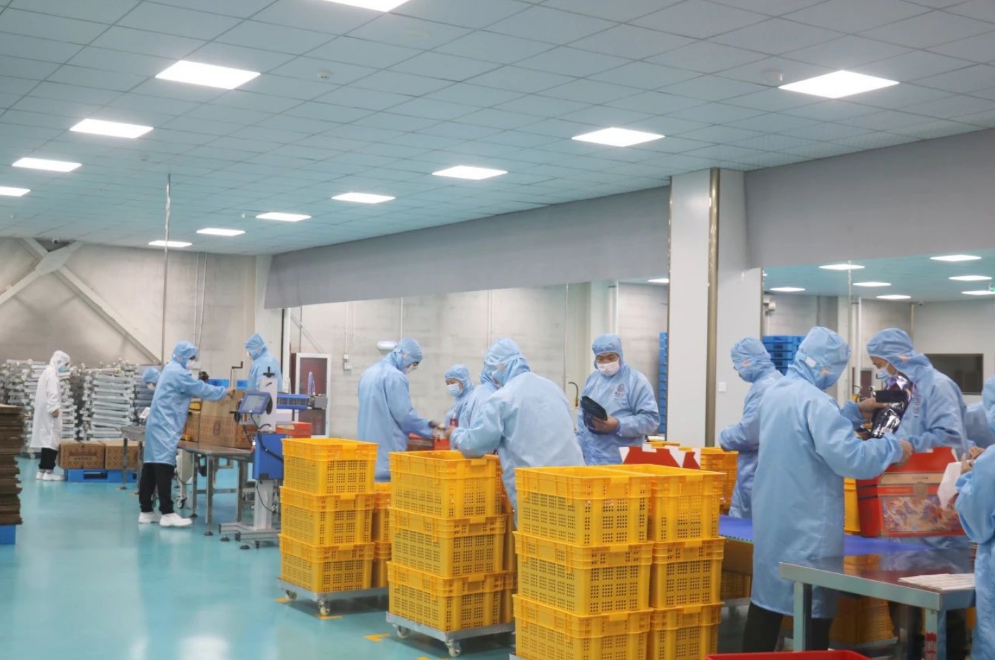 年产值1.5亿元！集味轩盛大开业！(图4)