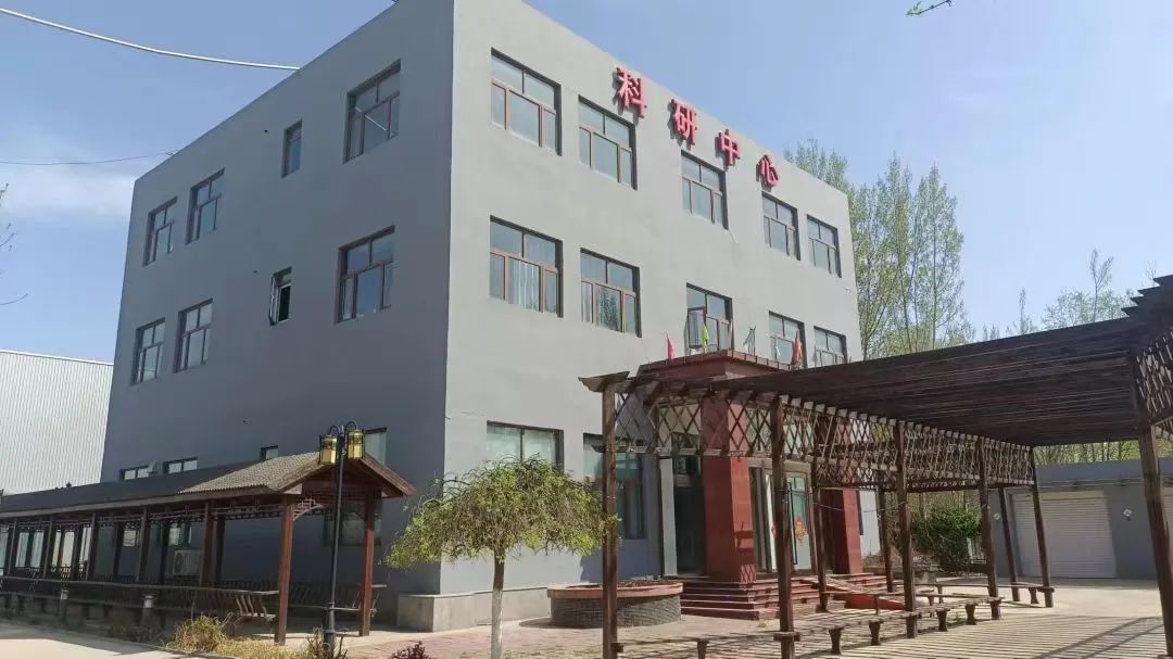 【党建领航促发展】坚持“三强化三提升”，以高质量党建引领高质量发展(图15)